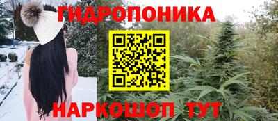 индика Ипатово