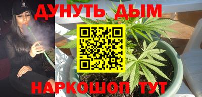 индика Изобильный