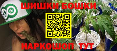 индика Ипатово