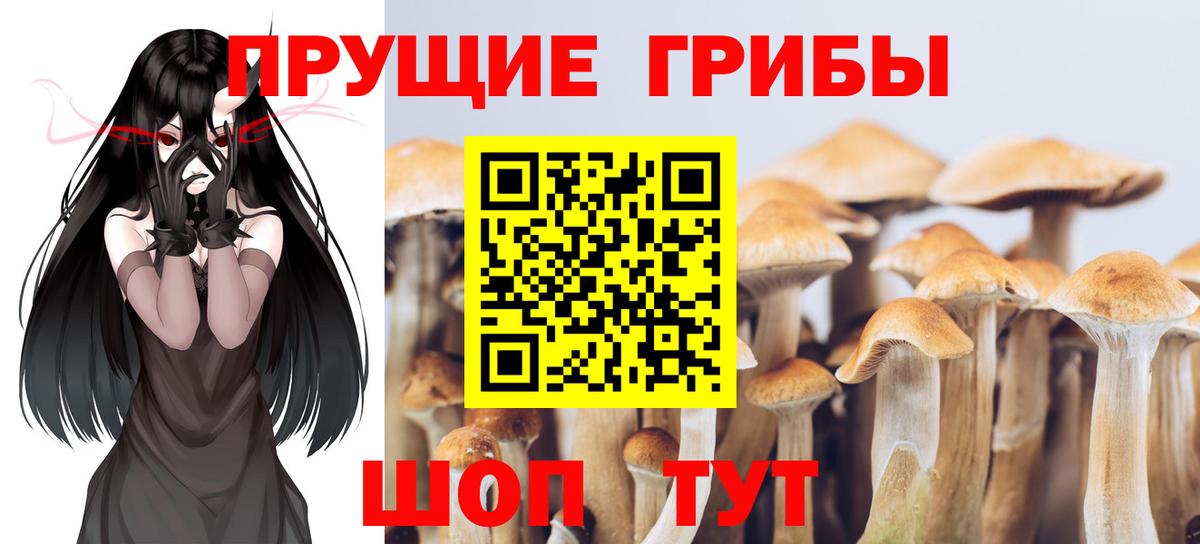 Псилоцибиновые грибы Magic Shrooms Краснознаменск
